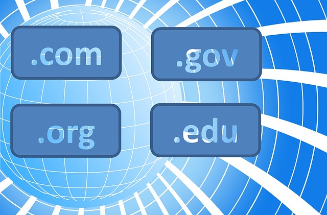 谷歌SEO